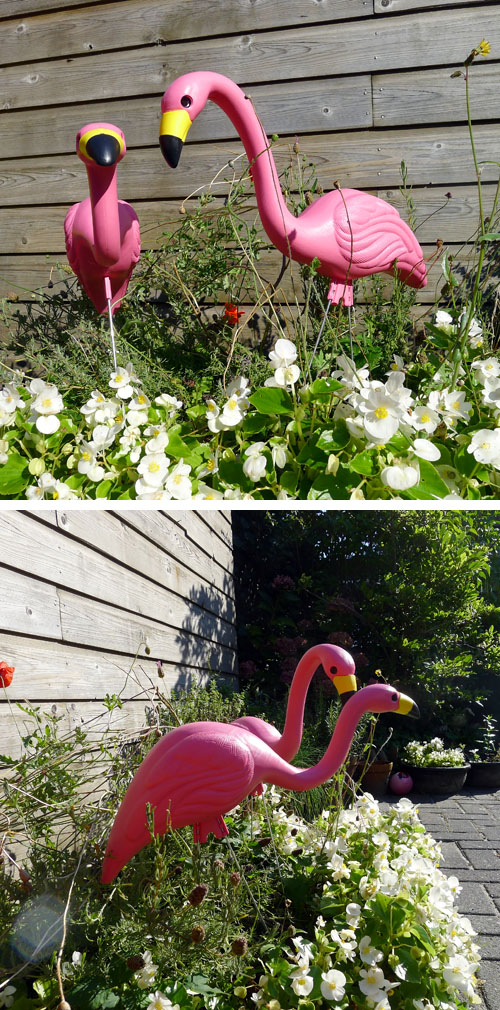 solitairsolidair-flamingos